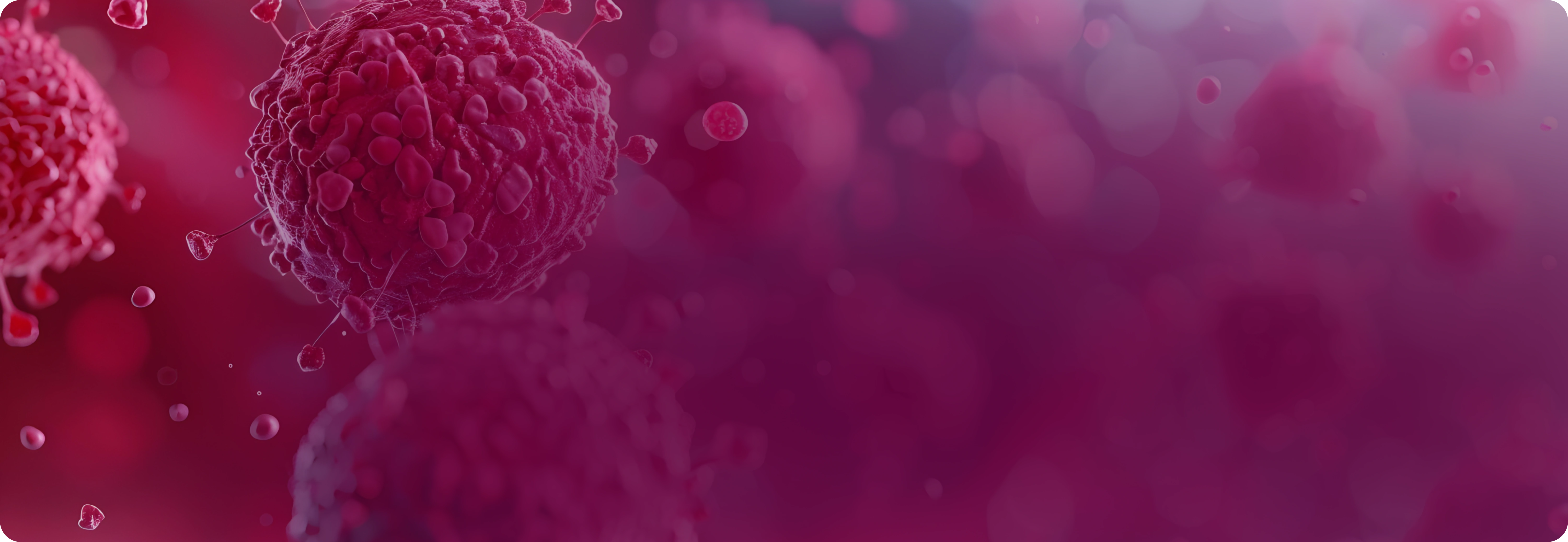 ONCOLOGY