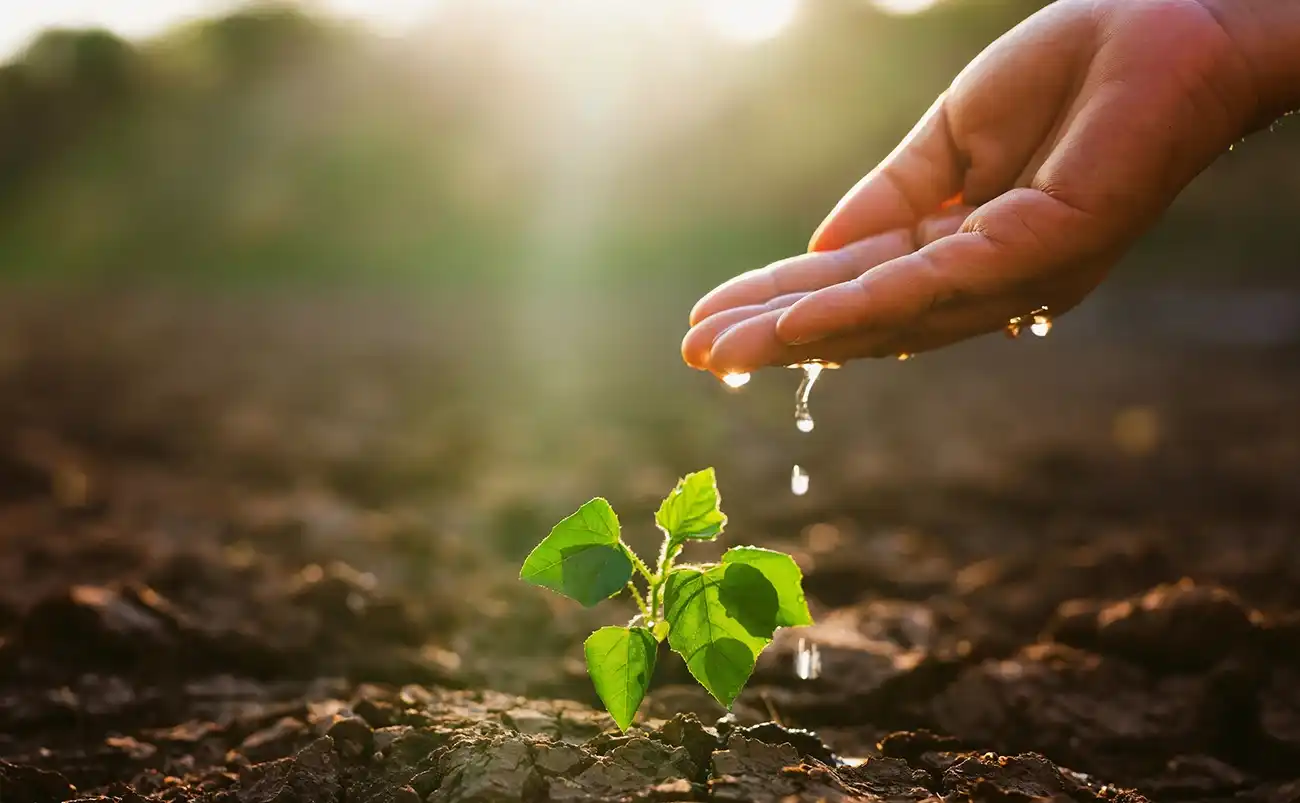 Environmental Stewardship